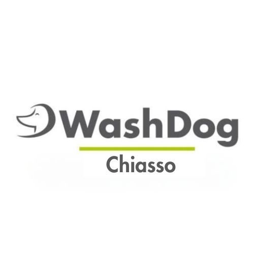 Wash Dog Chiasso